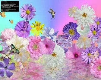 Summer Breeze Screensaver The Will Display