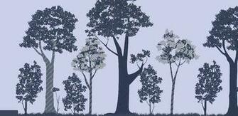 Paper Forest Live Wallpaper