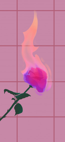 Rose On Fire Pink Wallpaper Aesthetic Baddie W