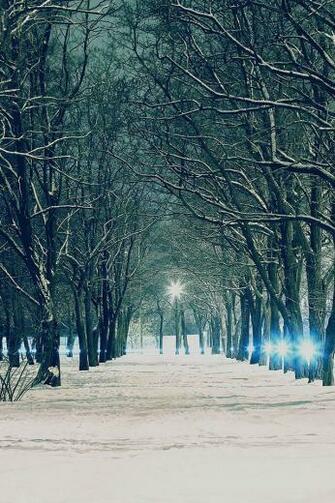 Winter Christmas Scenery iPhone Background HD Wallpaper