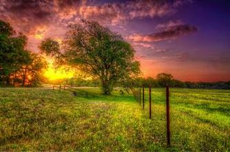 Pearl Ranch At Sunset Wheatland Texas Sunsurfer