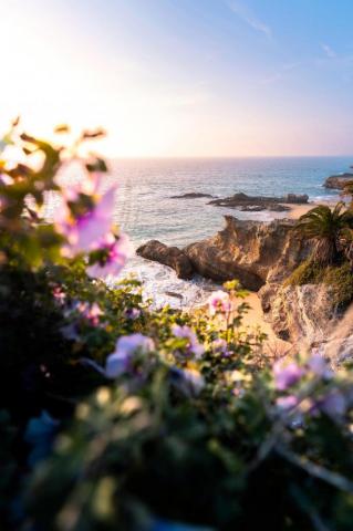 The Beautiful Covers Of Laguna Beach Ca Oc R