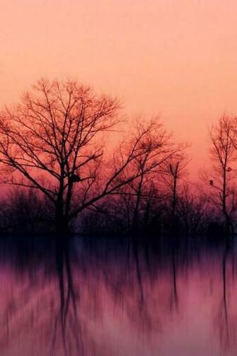 Wallpaper For Cell Phones Phone Background HD Android