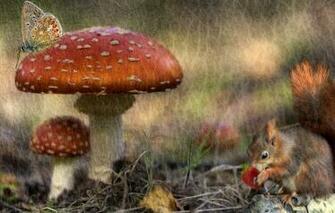 Wallpaper Autumn Forest Rendering Butterfly Mushrooms