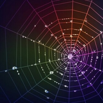 Colorful Spider Web In Black Background Vector