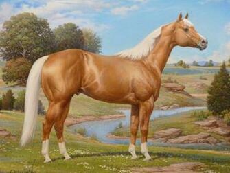 American Quarter Horse Indiana Association Working