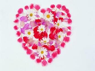 Flower Wallpaper Picture Rose Pictures