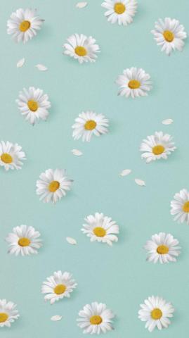 Blue Floral iPhone Wallpaper Flower Photo Rawpixel