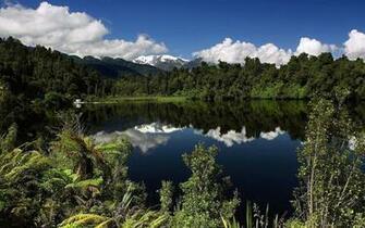 Forest Lake Widescreen HD Wallpaper