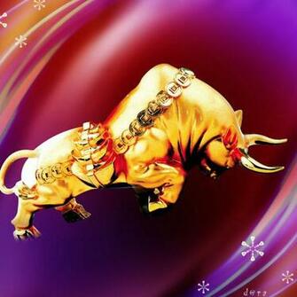 Wallpaper For Desktop Corrida Photo Bull Bulls