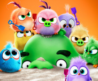 The Angry Birds Movie Battle Ready Wallpaper