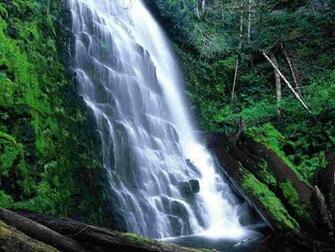 University Falls Tillamook State Forest Oregon Wallpaper