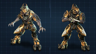 Halo Storm Elite Warrior By Commandernova702