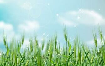 And Cg Design Concepts No Desktop Wallpaper Wallcoo Net