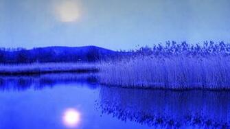 Bing Wallpaper Archive Image