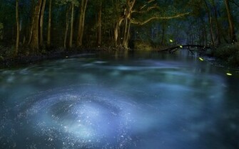 Magic Pond Desktop Pc And Mac Wallpaper