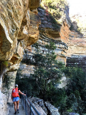 Blue Mountains National Park Wallpaper