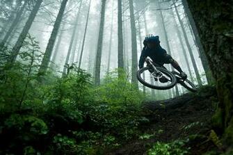 Pacific Northwest Yeti Cycles Mountain Biking Pictures Vital Mtb
