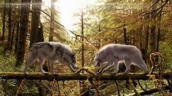 Wolves Live Wallpaper Android Apps On Google Play