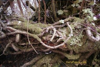 Very Faery Wallpaper