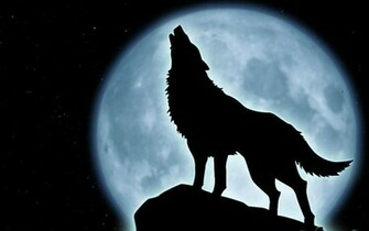 Howling Wolf Wallpaper HD In Animals Imageci