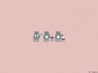 Grey Grumpy Cat Aesthetic Minimalist Design HD Wallpaper