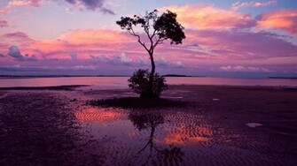 Romantic Background