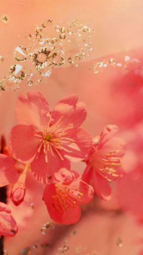 Blackberry Themes Samsung Galaxy Grand Wallpaper