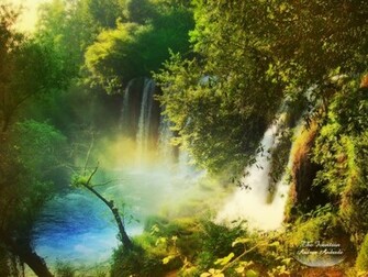 Wallpaper Zh Amazing Nature