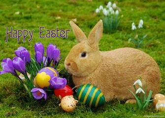 Pretty Happy Easter Pictures Photos And Image For