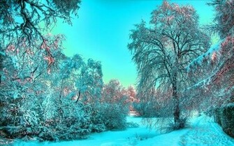 Winter Landscapes Wallpaper