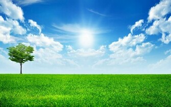 Sunny Blue Sky Wallpaper Nature