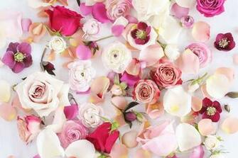 Digital Blooms February Desktop Wallpaper Justinecelina