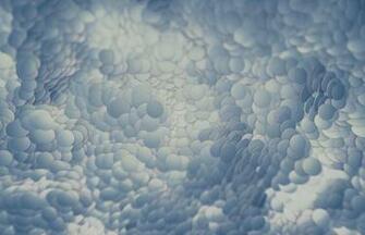 Google Nexus Stock Wallpaper Android