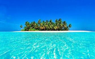 Tropical Wallpaper