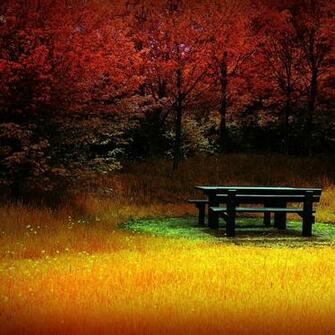 Fall iPad Wallpaper Newevolution Gallery