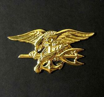 Pin Navy Seal Trident