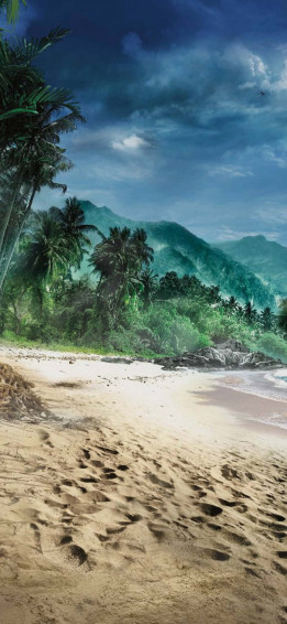 iPhone X Far Cry Beach With Trees Background Wallpaper