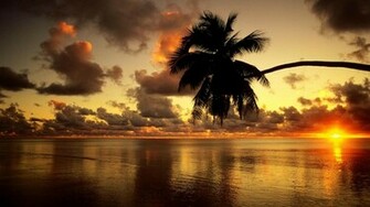 Gorgeous Golden Glow HD Wallpaper