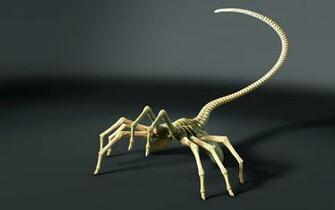 HD Scorpion Background Net