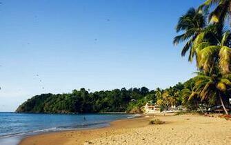 Caribbean Wallpaper Wednesday The Uncommon Allure Of Castara Beach