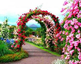 Ko Beautiful Garden Wallpaper Pictures Of