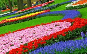 Flower Gardens Wallpaper For Desktop