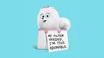 The Secret Life Of Pets Gidget HD Wallpaper IHD