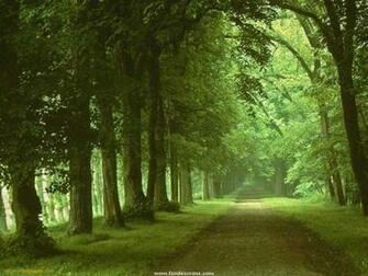 Nature Wallpaper Wallpaperpk