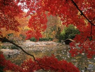 Autumn Wallpaper Widescreen