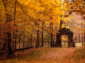 Autumn Scene Background Wallpaper For Desktop