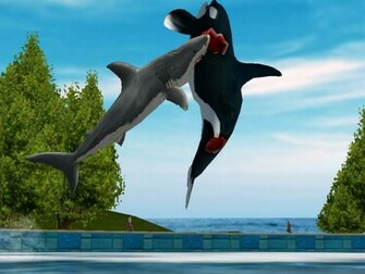 Jaws HD Wallpaper In Movies Imageci