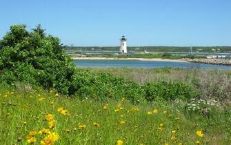 Martha S Vineyard