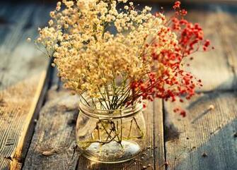 Flowers In Jar X Other Desktop Wallpaper Dry